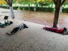 IMG_20221017_141429