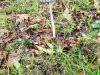 IMG_20221017_143339