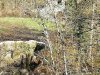 IMG_20230210_144209
