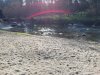 IMG_20230210_145823